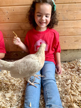 Load image into Gallery viewer, Youth Red Barn Sanctuary Logo T-Shirt &amp; &quot;This Farm is a Family&quot; Book Bundle
