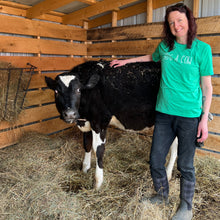 Load image into Gallery viewer, Hug a Cow T-Shirt - Green
