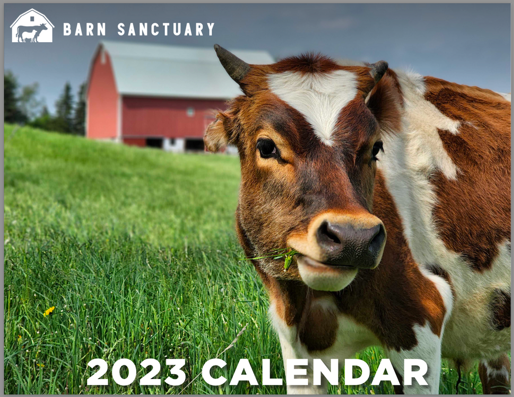 OLD 2023 Barn Sanctuary Calendar