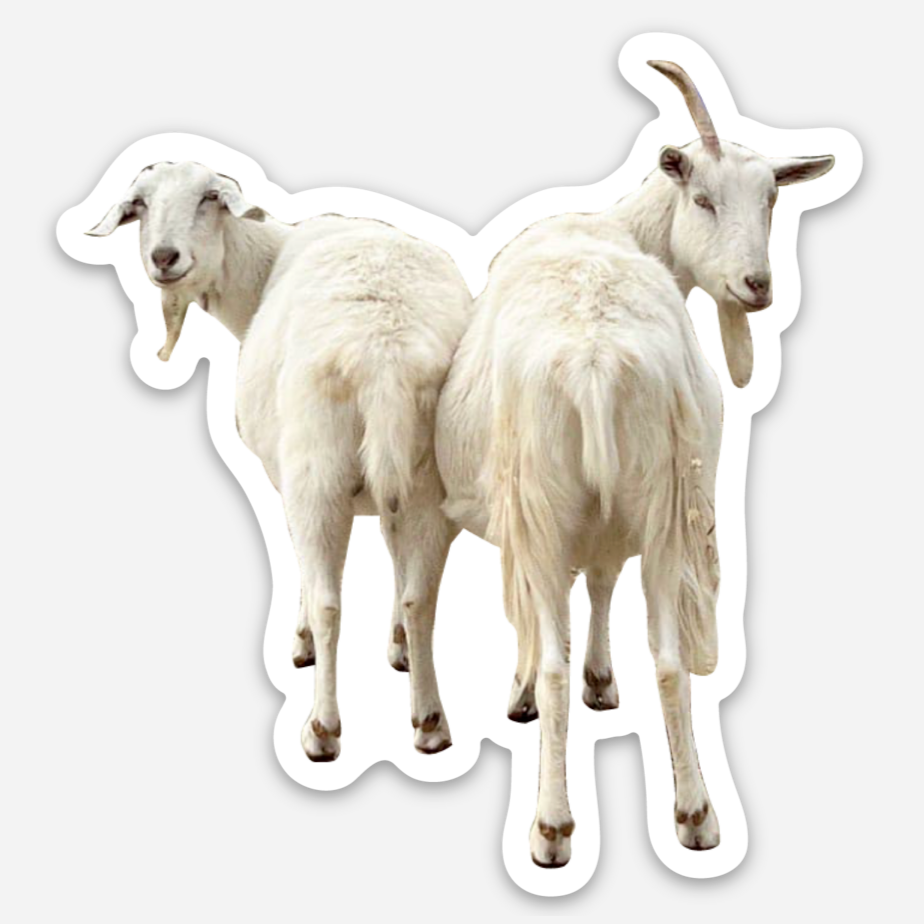 Emmy and Hugo Goat Sticker