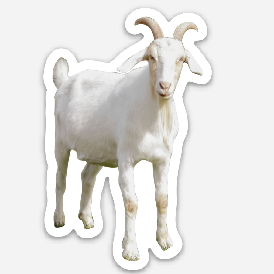 Steve Goat Sticker